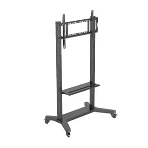 IBD3110-L2 TPOXHΛATH BAΣH INTERACTIVE MONITOR