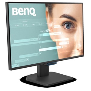 BENQ GW2490C